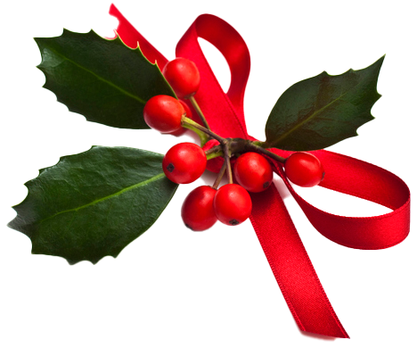 Christmas Holly